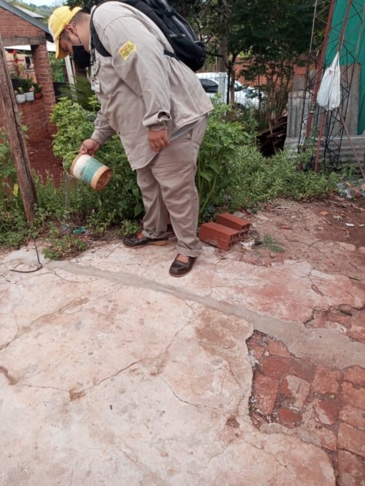 Control de vectores en Garupá y Eldorado y Gobernador Roca 9 18 - Vector Eldorado 6 - 17