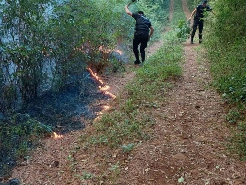 Continúan los trabajos para sofocar incendios registrados en algunas localidades