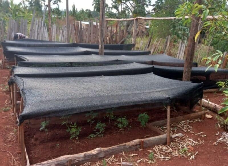 Posadas: entregaron insumos a pequeños productores para el desarrollo de la agricultura familiar