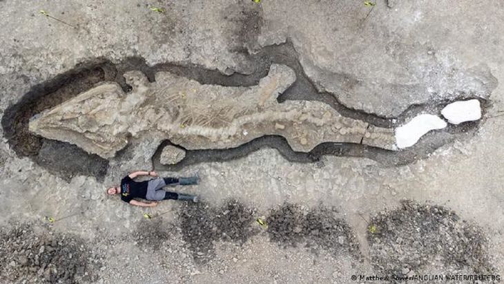 Encuentran el fósil más completo de un “dragón marino” en una laguna