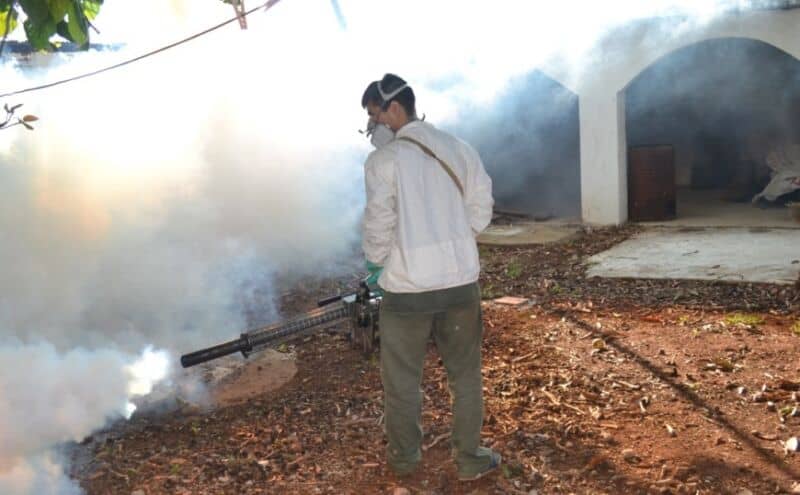 Aclaran que en Posadas no se exige certificado de fumigación contra el dengue a comerciantes