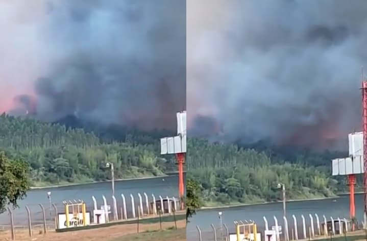 Incendio ya consumió unas 700 hectáreas en zona de “Oro Verde”