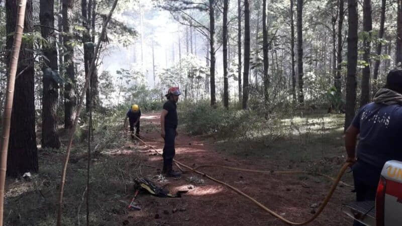 Bomberos sofocaron incendios en Jardín América y Santo Pipó