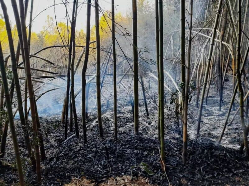 Más incendios sofocados en la provincia