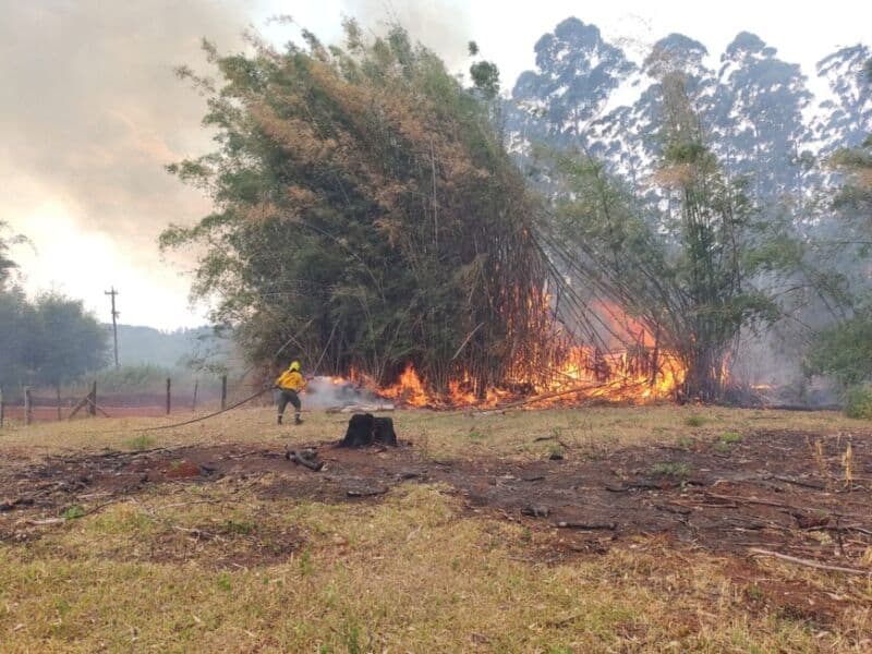 Siguen los trabajos para combatir los focos de incendios en varios puntos de Misiones