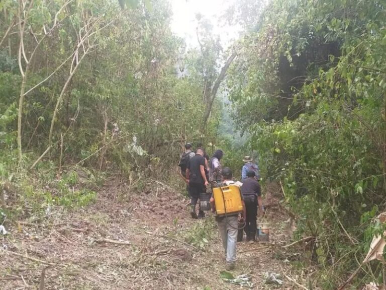 Apóstoles y Cerro Corá: sofocaron dos incendios en las últimas horas