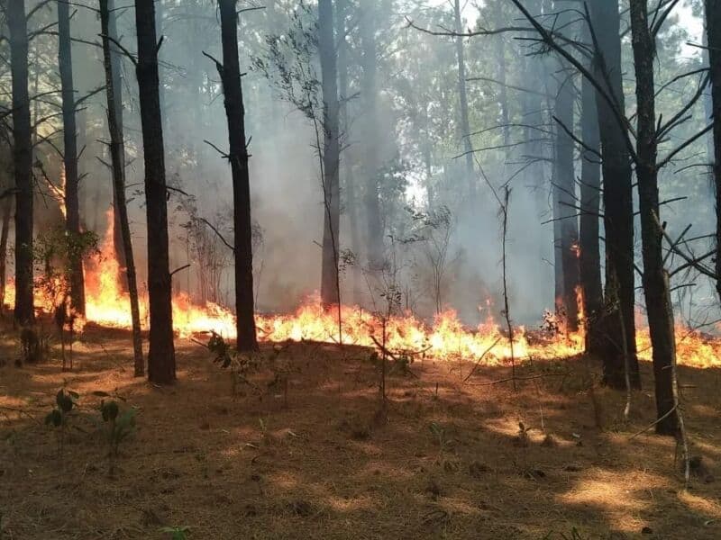 Persisten los trabajos de lucha contra los incendios en la provincia