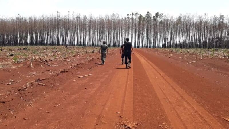 Policías, brigadistas y voluntarios trabajan en la prevención de incendios en Misiones