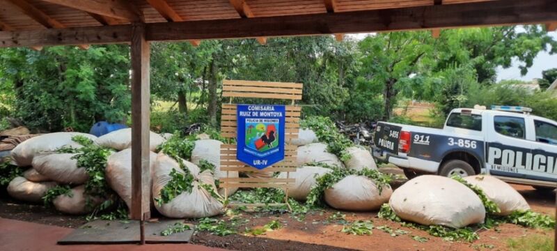 Siete personas terminaron detenidas por consechar ilegalmente casi dos toneladas de yerba mate