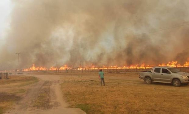 Fuego imparable: se queman 20.000 hectáreas por día en Corrientes y hay más de 519.000 afectadas