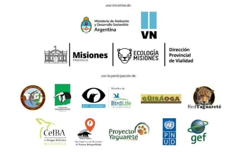 “Ruta viva, fauna presente”, la iniciativa impulsada por instituciones y organizaciones contra el atropellamiento animal 1 2 - Flyer - 1