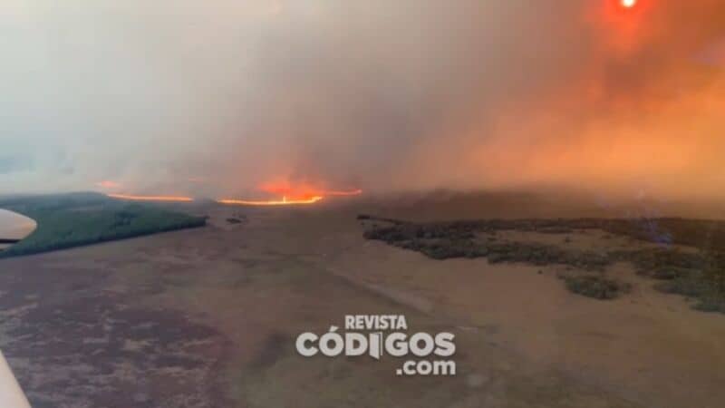 Video: imágenes exclusivas de los incendios en Santo Tomé