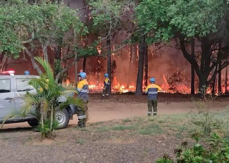 Advierten que los incendios en Corrientes 
