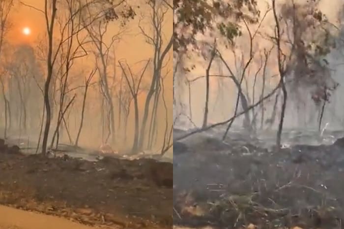 Incendio en el parque provincial Salto Encantado: el devastador efecto de las llamas