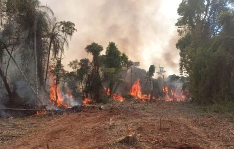 Nación destinará $500 millones para asistir a productores afectados por los incendios en Corrientes
