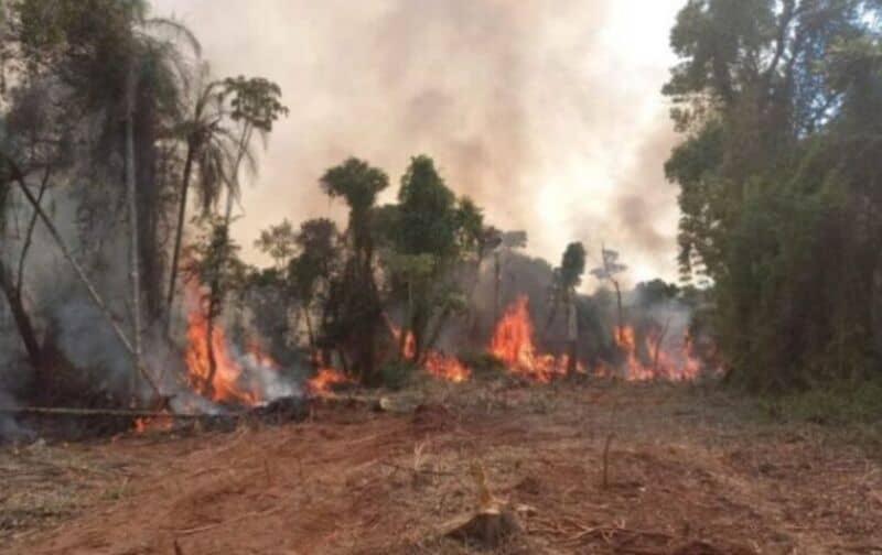 Continúan activos cinco incendios en Corrientes, según reporte
