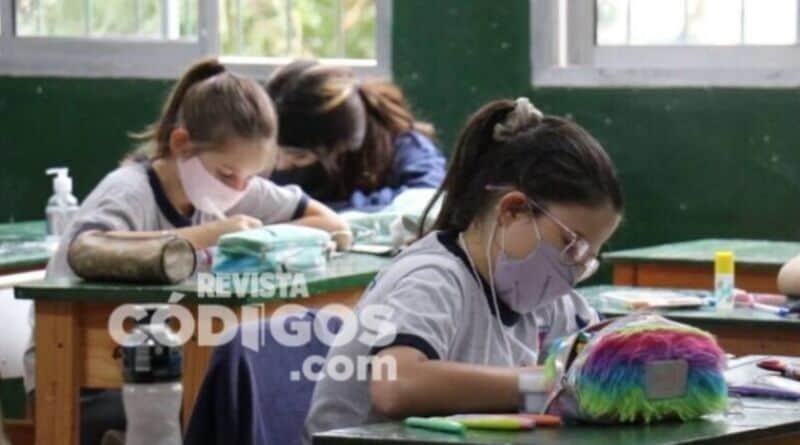 El Comité Científico analiza acciones para garantizar el regreso seguro de las clases en Misiones