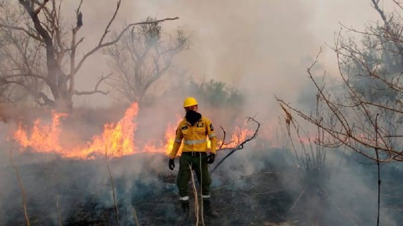 Incendios en los Esteros del Iberá: un portal de acceso arde desde hace cinco días