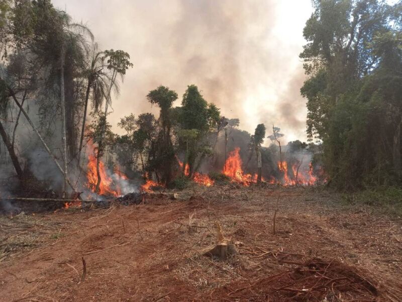 Came pidió que intervenga el Ejército para combatir los incendios en Misiones y Corrientes