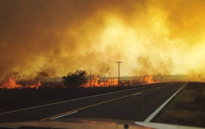 Incendios en Corrientes: solo en enero fueron afectadas 335.000 hectáreas