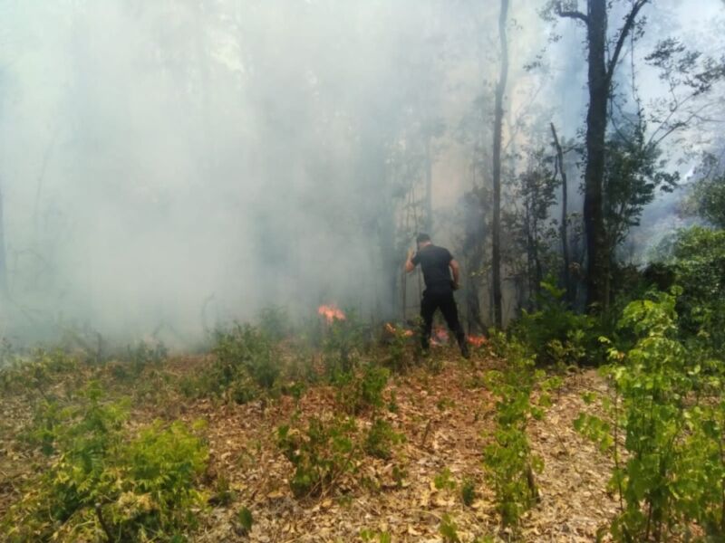 Arduo trabajo para controlar incendios en diferentes localidades misioneras