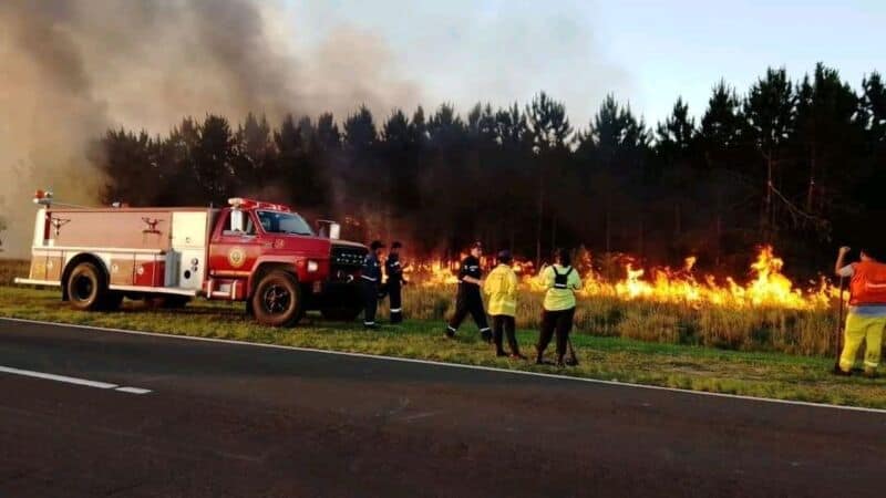 Incendios en Misiones y Corrientes: una por una, las medidas que dispuso AFIP para productores afectados