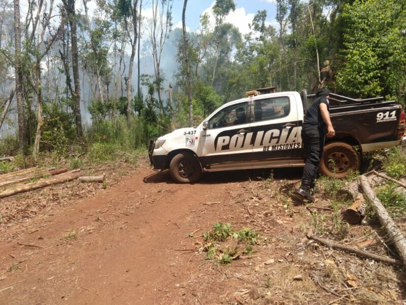 Incendios en la provincia: persisten algunos focos y siguen los trabajos para sofocarlos