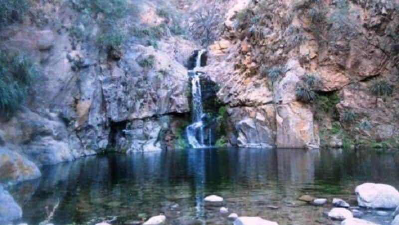 Alertan por algas tóxicas en ríos y lagos de Buenos Aires, Santa Fe, Entre Ríos y Córdoba