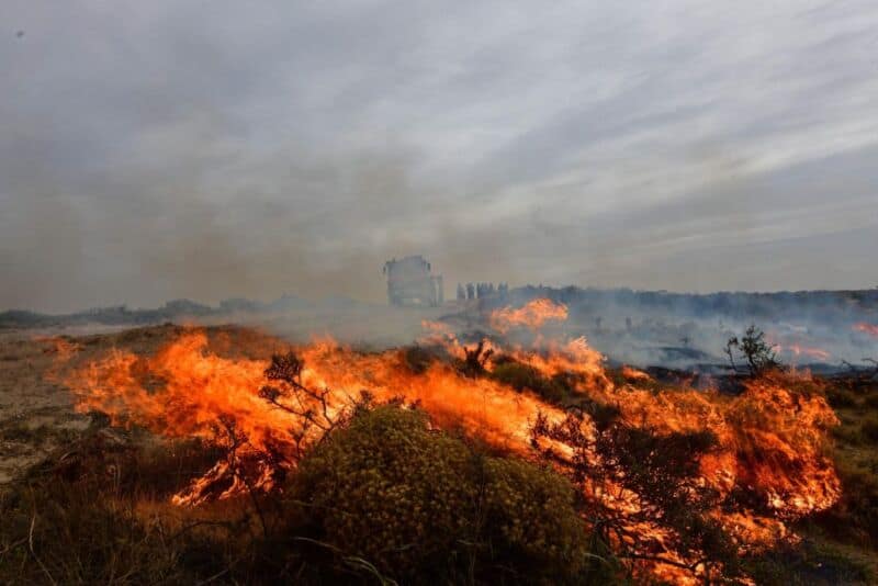 La Glufa colabora ante el desastre de los incendios en Corrientes y Misiones
