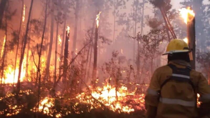 Alertan que el Índice de Peligrosidad de Incendios es alto en Misiones