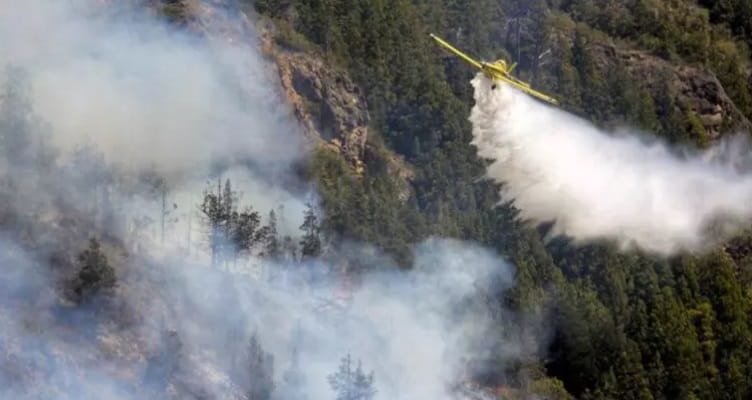 Continúan los incendios forestales en Corrientes: “La provincia está ardiendo”