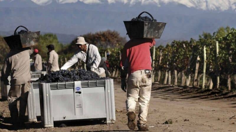 Rescatan a 40 trabajadores golondrinas que eran explotados como esclavos en La Rioja
