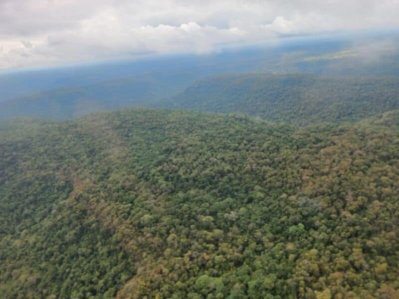 Tras las lluvias, el riesgo de incendios es bajo en Misiones