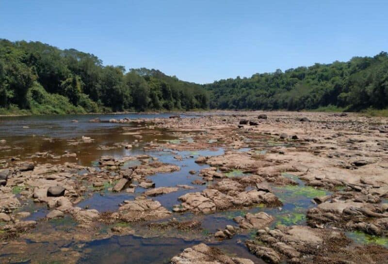 José Olinuck: “Estamos transitando una sequía de características inéditas”