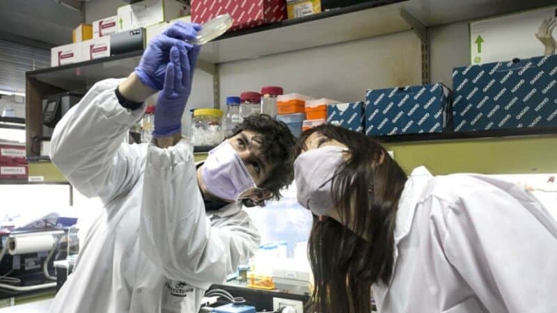 Covid: estudio argentino publicado en The Lancet confirma la efectividad de vacunas en mayores