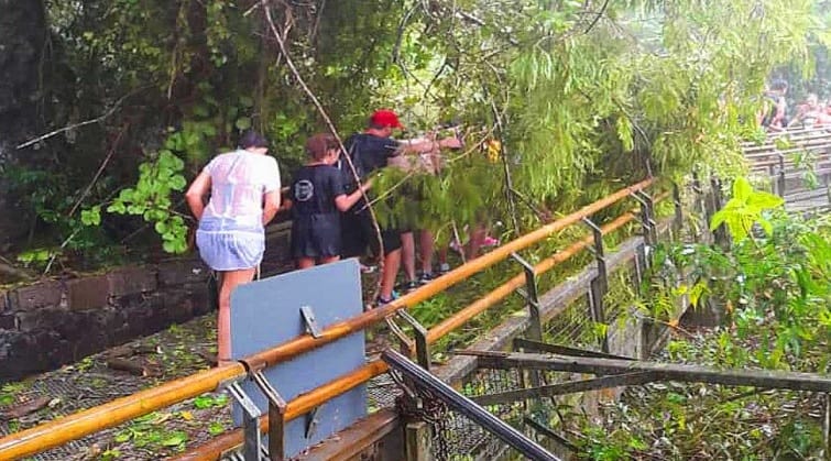Temporal en Misiones: por la caída de árboles evacuaron un sector de Garganta del Diablo en las Cataratas