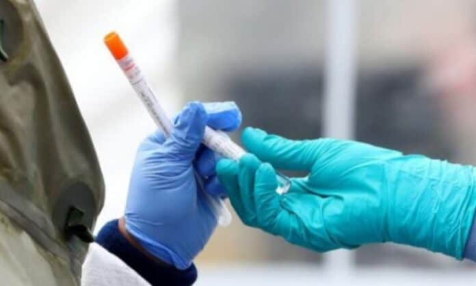 Coronavirus: confirmaron seis casos nuevos en Misiones