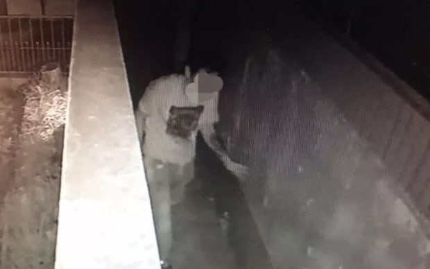 Posadas: fue captado por las cámaras al intentar robar en una casa y terminó detenido