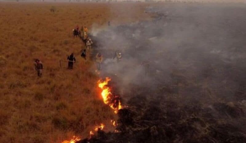 Corrientes: sospechan que 25 incendios serían intencionales y las penas irían hasta los 10 años