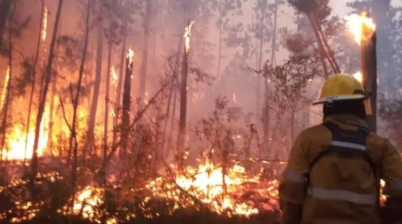 Alertan que el índice de peligrosidad de incendios es alto en Misiones