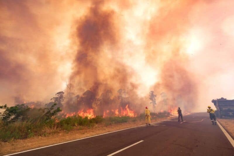 Los incendios forestales generaron las peores emisiones de carbono en 20 años