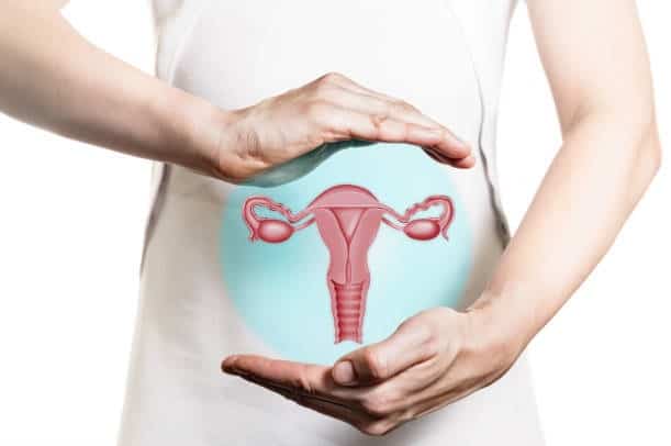 Estudian los efectos negativos del coronavirus en la función ovárica