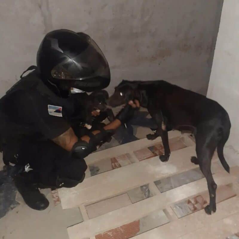 WhatsApp Image 2022 03 13 at 13.05.58 - 1