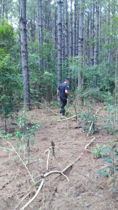 WhatsApp Image 2022 03 13 at 17.25.53 - 1