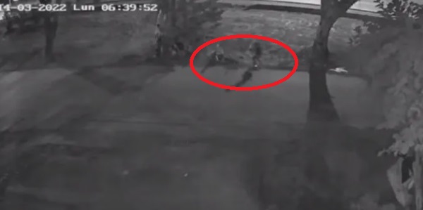 Asesinaron de un piedrazo a un joven para robarle la bicicleta en Mendoza