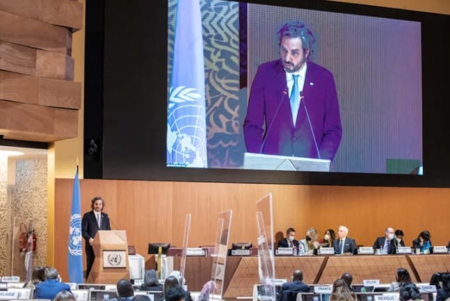 Argentina votó a favor de la condena de la ONU a Rusia por la invasión a Ucrania