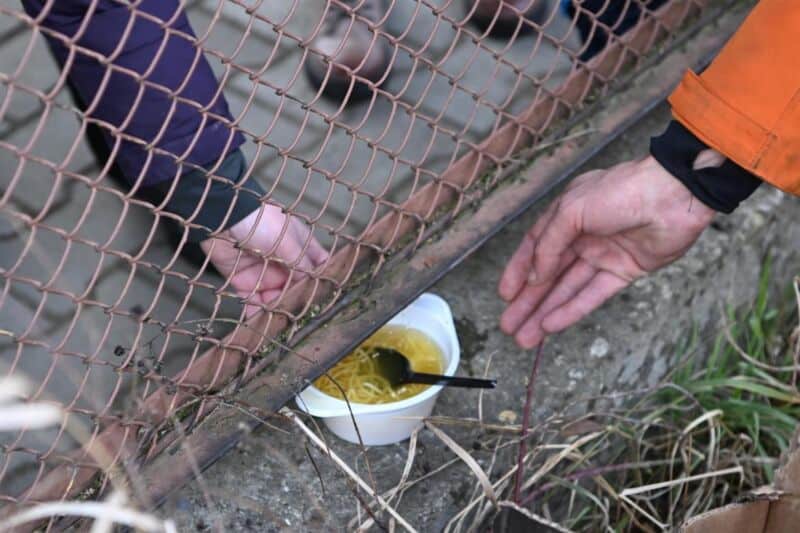 Pronostican la guerra en Ucrania puede generar una crisis alimentaria a nivel mundial