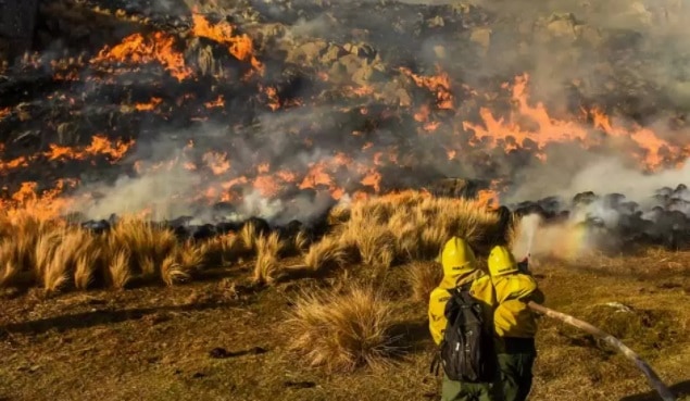 Corrientes: un rebrote de incendios avanza por los Esteros del Iberá