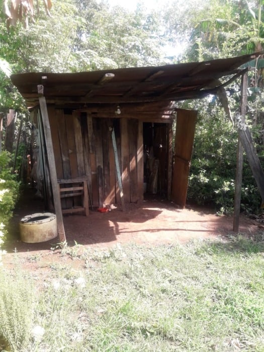 situacion de abandono2 - 3