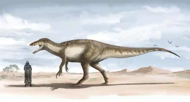 Hallaron en El Calafate restos de un megaraptor, el dinosaurio más grande encontrado hasta el momento